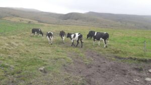 1009711158546787050873792429850773937746576684940432465538521558229475394222