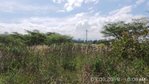 101580007150497199652085840019488523375108137872941536090675576781010233062393