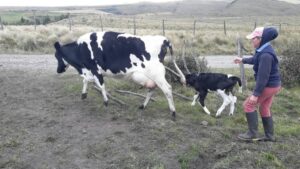 102193981824461694840557684009179030700631270315456699933892503274298113912937