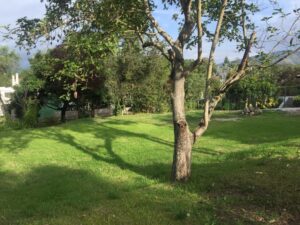 104232146481331182841745187106343351412093296875620499754366340598667264930144