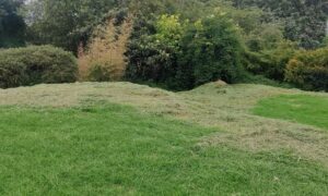 104262684416810605011670134721819205326045874991747958313157991257137181759053