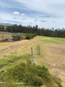 10569274455680939328353976065741490750590244000407042019104932231173139024327