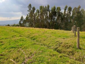 105777143212829432007361176571114981872111004815068833626272882759767255180553