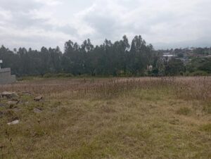 106452452092574780915220345005638278718811295342894517677631187344598355918972