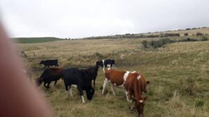 107009508612297944187439940284342040100901770774936520888167296436958368117807