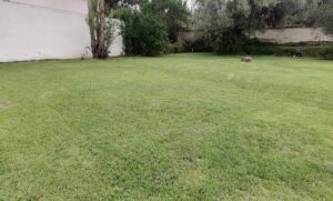 107028095374843035513031623555288550041317249114722745805775550378329047968687