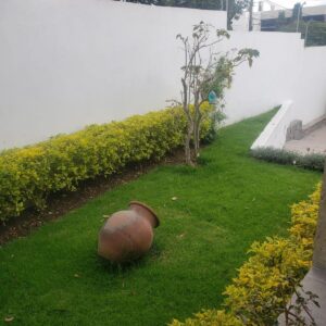 107637239689232034625397356856401425907276389356025219896160648582639510469841 6