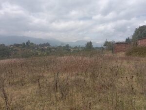 109336660248888592678030905612419748505195492525397335807363982902988571490258