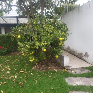 110271166230854528445819768874272422492736492736284758803303597984526929766067 6