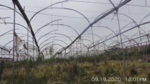 111044587790315494432063904046728165543838733153313552762871631273723661904598