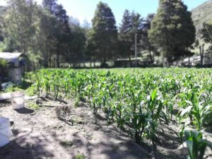 111350228972776855646747207003902338540761864087326078992074274673629930018282