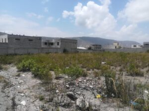 111476660693372314778002959370956197864478428314530317735993001307781570070096