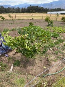 113118801317152780595610141758264961792521911091370789534597579565318244659148