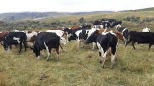 115332433872791433182966905742816409062712927783055616083494635539682409986429