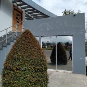 13577808202332877882200620467070999542694150706322451686100582740259241853408