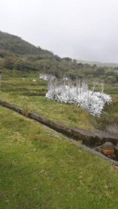 14284076123695339768933512978525241337605611533770940059291634883800963594616