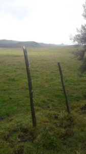 1656115238538625825783606312545203031775282256348911899508073951027535376107