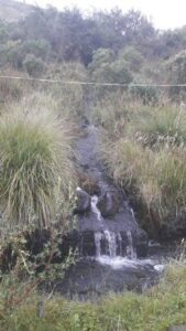 20498309048588207907951001737113132749150366445327153336505602970605822342378