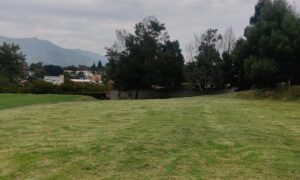 20781958373362963612509332714510964796562588997236357286910067113302176010499