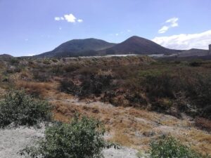 21025579660346256496281701188193066895016011637100405241421314138959552974948