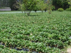 22227045354198654182236568234004047324300224410500990900688861542170073687930