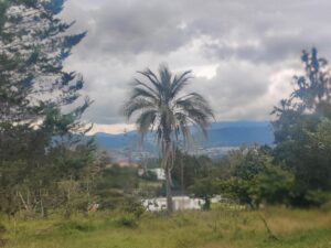 22985716087525079206581831142971929918213304141886784186520133036752389397895 1