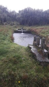 24628141841167528463932417224190291472074008507636877263604136354553052435496