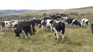 2716941821283775284765444649423930044127972981280912262526562318449689255047