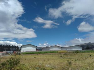 275125194599051060154147400528821474290729560177295609498268654153464637086 4