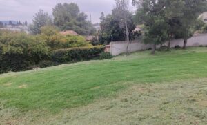 28167252599781761927006829309653167222562539017772414823830949433548098873154