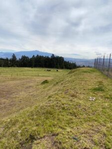 29127774266402963335101763113676025489076292875020548106283232188849180490441