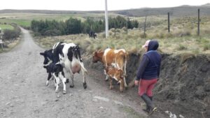 32476580762622237578935857439855155496989320562834625719446135452215794217790