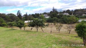 33515960230758245596048755689249606316557324302381028599240128608587183865631