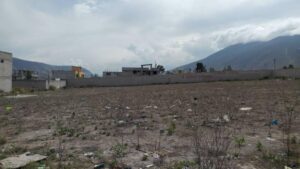 34438479294357803454555920658495195140872386979627684986176382867884147022995