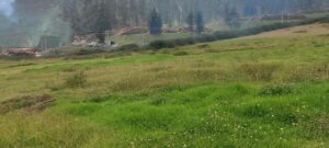 34522395682560157767548655442833934441515647729503591513514817297483458738925