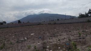 37418204651157307570637938230612348722961441333212894462116949114156427558792