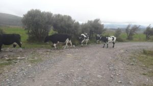 37624868237957557948115487164347517498060441063417877605557812323123278907152