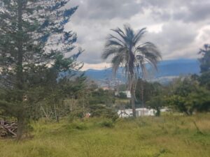 40114938598900623020139405260521101322758642086341778895330033335580677160965 1