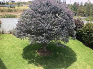 40682309277281678710784808042037888555604303588215840207587438213110517728351