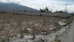 41429647177262533531762877432521237771519127674390925623648462127660943870229