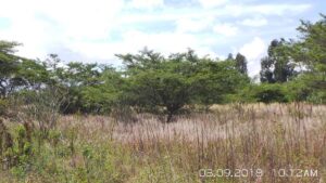 41886565547185120427518321849071709210356672411720486001942583338272719352280