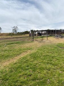 42939033803063788339819274757883360690909450946090843953895423359388316442392