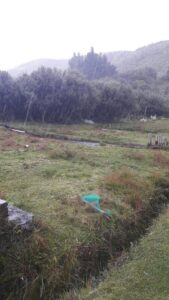 44854408807043934635217289371084420946240382564177077358362537751367004676525