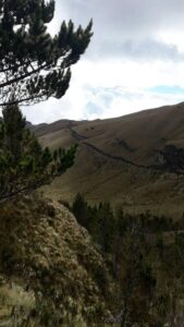 45140136030787206473445303785466925443038000950971447860955701216129231220982