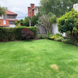 45620997170921163935020252498294570110644710043394796442587118252307828694027