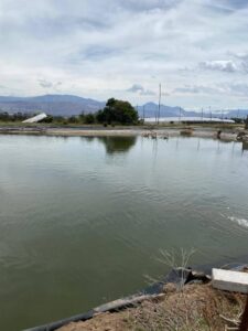 46206269211754795836273510561803180192994389188869118134541730827007922110697