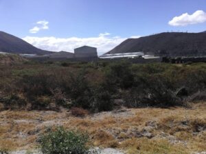 46600596918496034098773255982470212350415048645575886158150663492672131970398