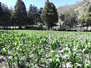 47992717206703577981898433180552332970540726506379677267758242483569800863885