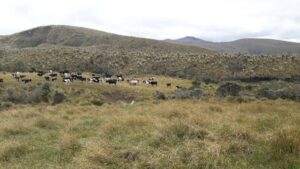 48074155006415851496121128387092604459048971913247150635242824064200948598379