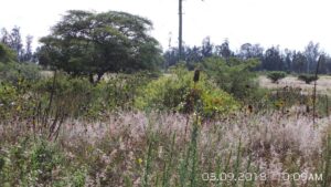 49211405550140388837273445057663061914648812438852420317556014120671144571267